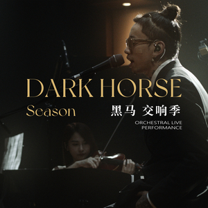 毛茸茸多毛BBBBB毛多
