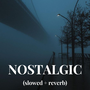 毛茸茸多毛BBBBB毛多
