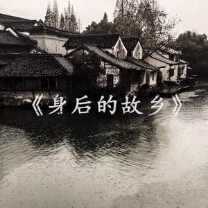 毛茸茸多毛BBBBB毛多
