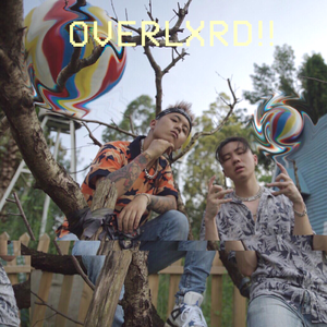 毛茸茸多毛BBBBB毛多
