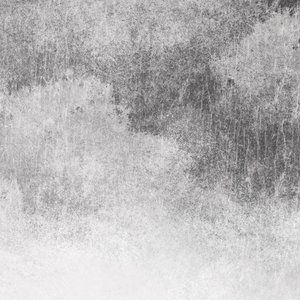 毛茸茸多毛BBBBB毛多
