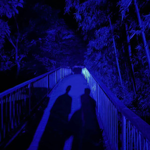 毛茸茸多毛BBBBB毛多
