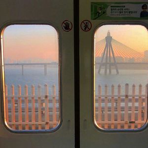 毛茸茸多毛BBBBB毛多
