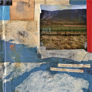 毛茸茸多毛BBBBB毛多
