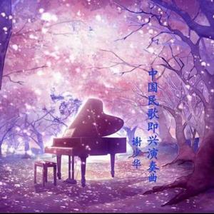 毛茸茸多毛BBBBB毛多
