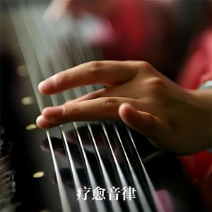 毛茸茸多毛BBBBB毛多
