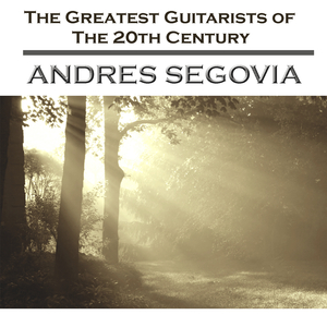 毛茸茸多毛BBBBB毛多
